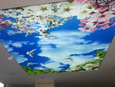 G�ky�z�nde ku�lar temal� tavan dekoru