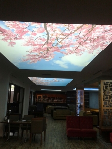 Esenyurt gergi tavan �al��mam�z,esenyurt gergi tavan imalat merkezi