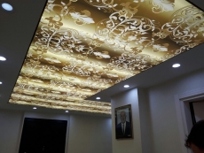 Barisol Gergi Tavan modelleri