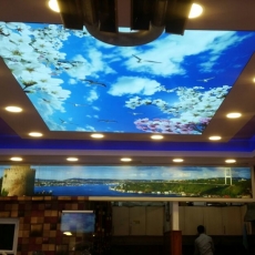 Barisol Gergi Tavan modelleri