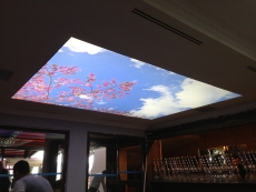 B�y�k�ekmece gergi tavan �al��mam�z.b�y�k�ekmece gergi tavan imalat merkezi