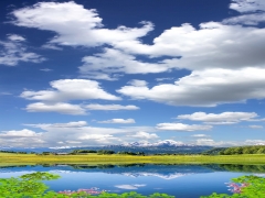TAVAN DUVAR GERG� TAVAN RES�MLER�