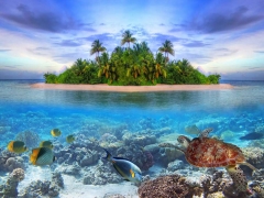 SU ALTI GERG� TAVAN RES�MLER�