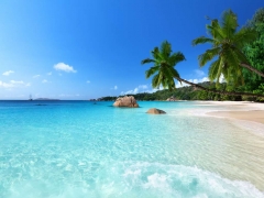 DEN�Z SAH�L GERG� TAVAN RES�MLER�