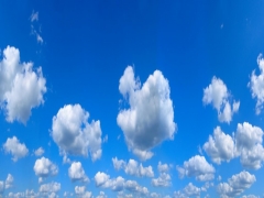 SADE BULUT GERG� TAVAN RES�MLER�