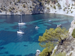 DEN�Z SAH�L GERG� TAVAN RES�MLER�