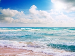 DEN�Z SAH�L GERG� TAVAN RES�MLER�