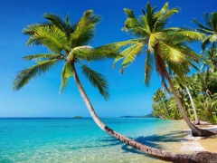 DEN�Z SAH�L GERG� TAVAN RES�MLER�