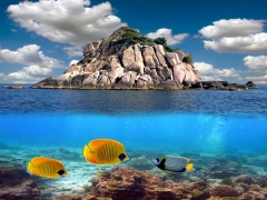 SU ALTI GERG� TAVAN RES�MLER�