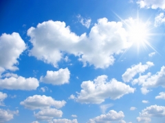 SADE BULUT GERG� TAVAN RES�MLER�